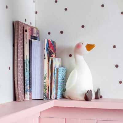 Φως Νυκτός Κύκνος