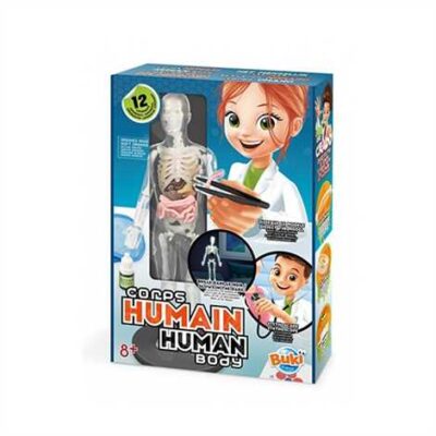 ΑΝΘΡΩΠΙΝΟ ΣΩΜΑ 12 ΠΕΙΡΑΜΑΤΑ